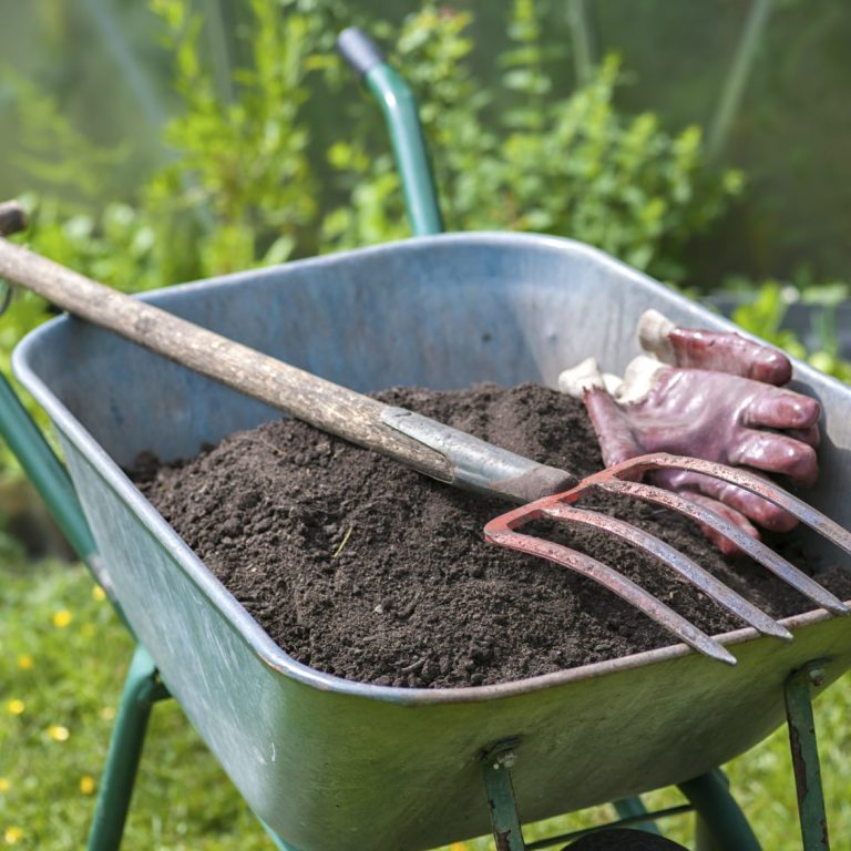 Gartengestaltung, Gartenpflege, Gartenplanung, Eschweiler